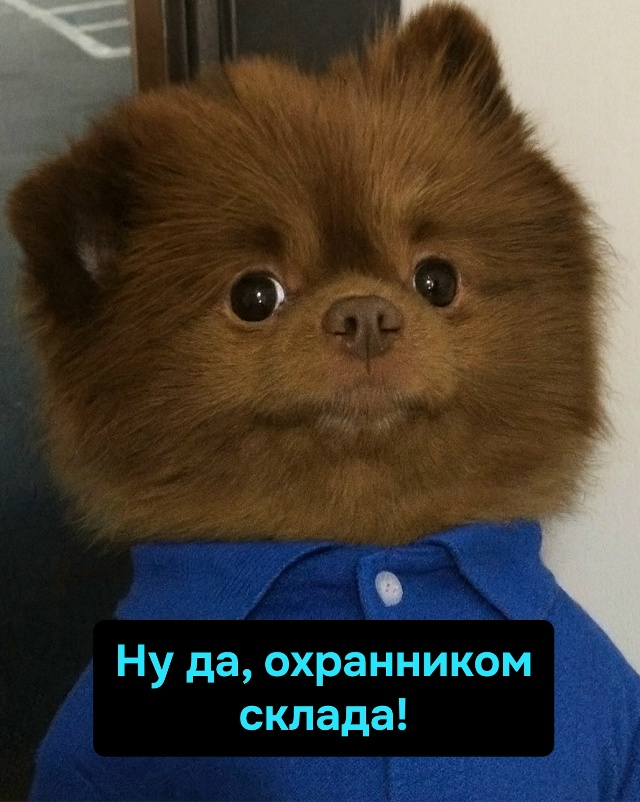 Главное — вовремя гавкнуть, чтобы думали, будто ты при ...