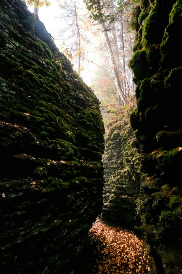? Золотая осень в Пермском крае
Фото: Ян Савицкий