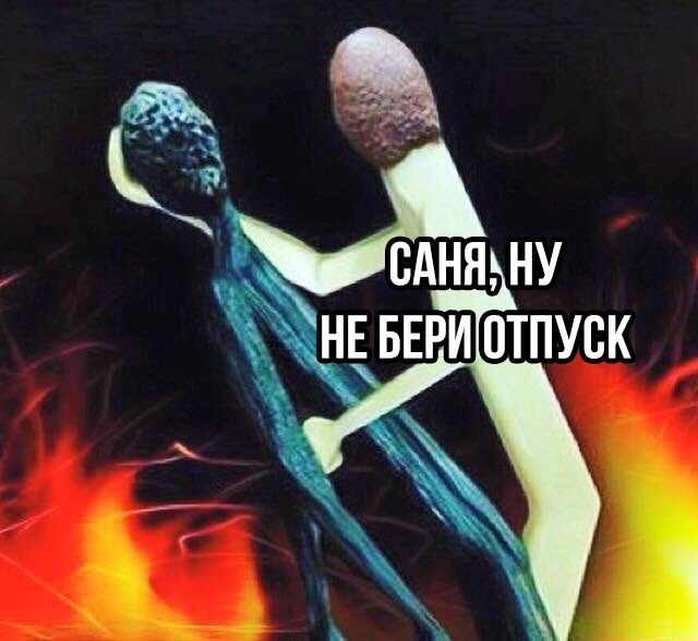 По всем признакам Сане уже по х.й