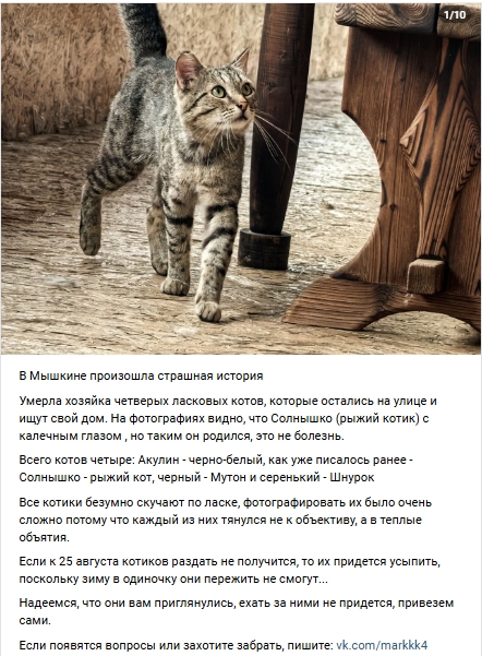 Пост добра. Распространите, пожалуйста.