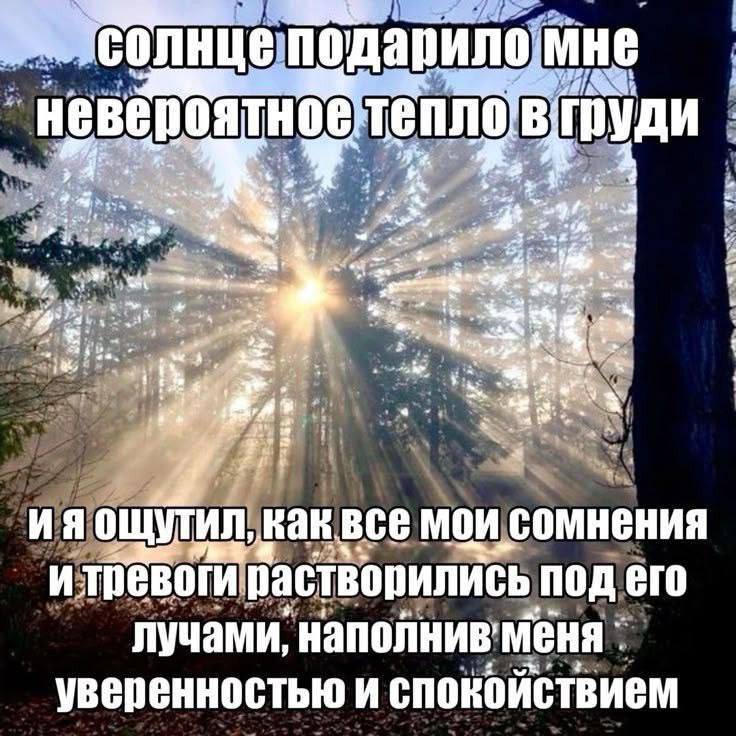 Утренняя подборочка
