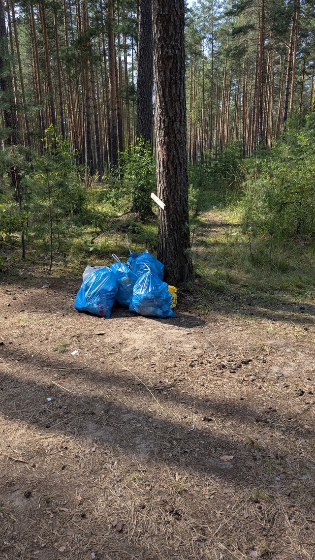 Молодежь,которая тусовала на Западном озере в правом к...