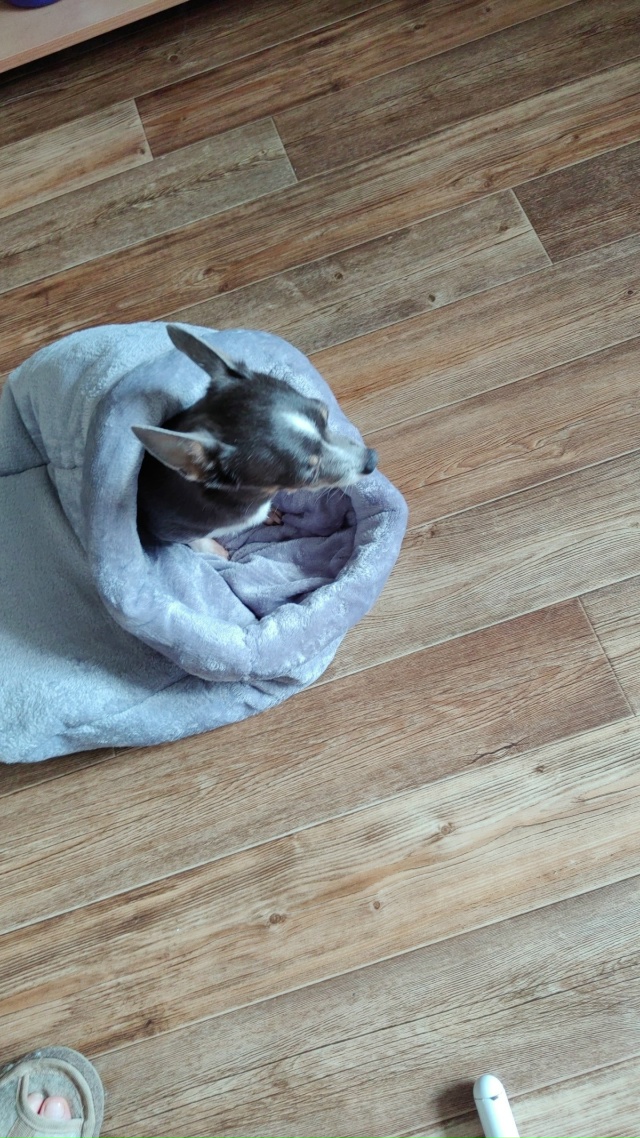 Пожалуйста, опубликуйте , администратор🙏🙏🙏Всем доб...