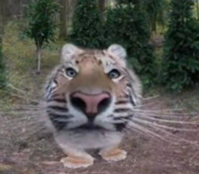 Достаточно строгое отношение к самому себе.
Этот комм?...