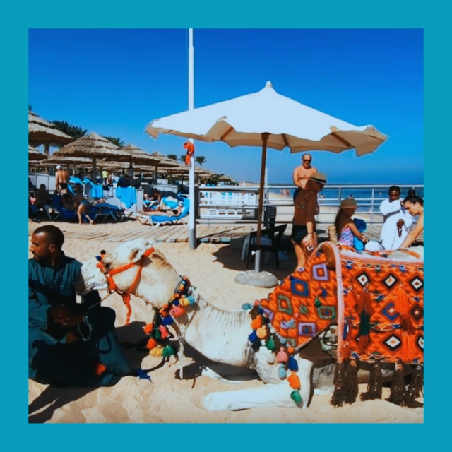 Цены на Египет рухнули за пару часов
В системах онлайн...