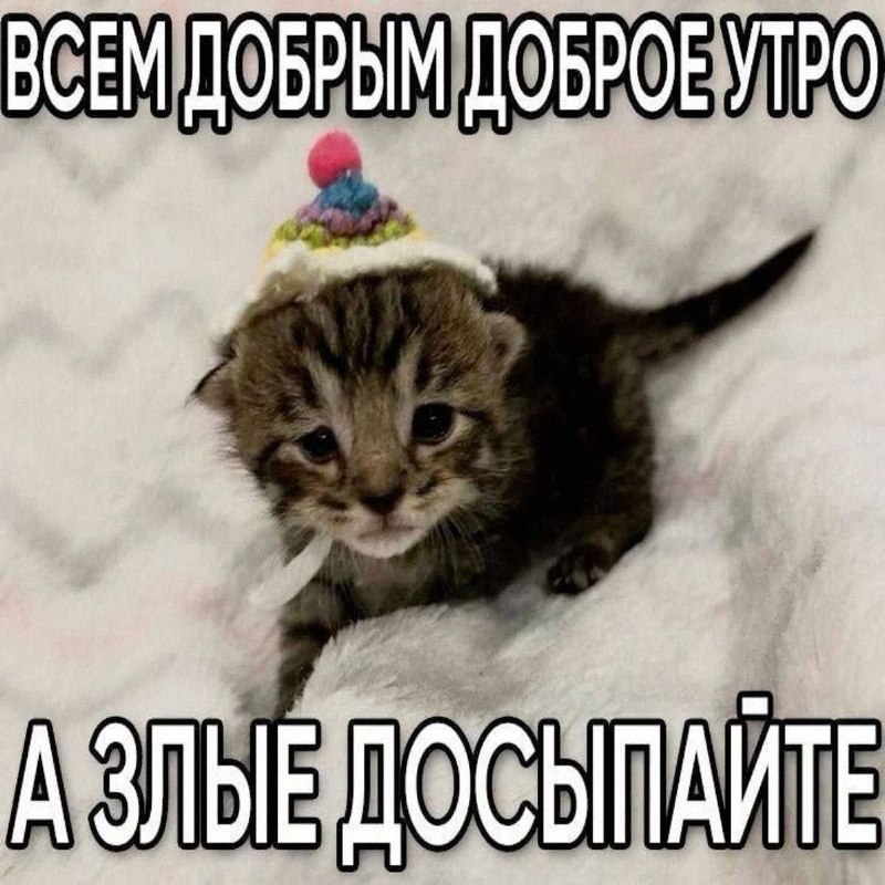 Утренняя подборочка
