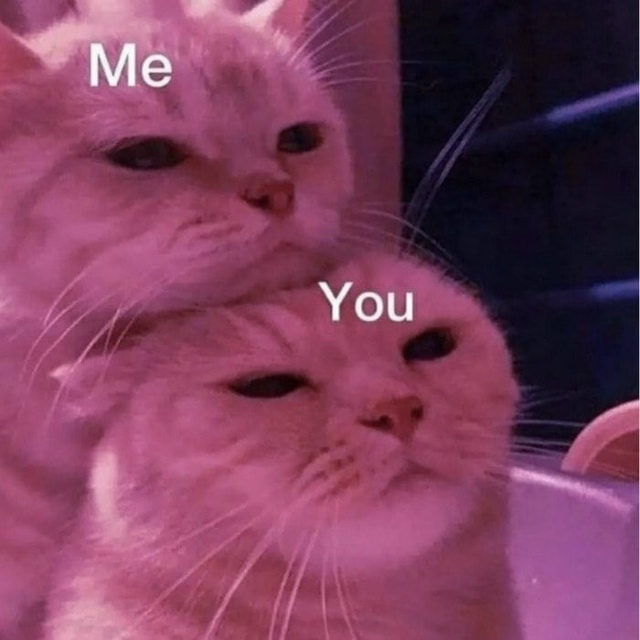 В сети собрали подборку из 50 идей, чем парам можно заня?...