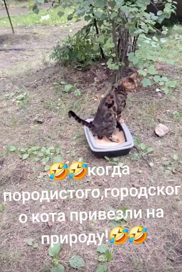 Бедняжка... Он способен какать только в своём доме 🤭😆