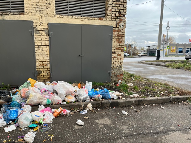 Сенько 8 через дорогу площадка для мусора!!!Но нет кому-?...