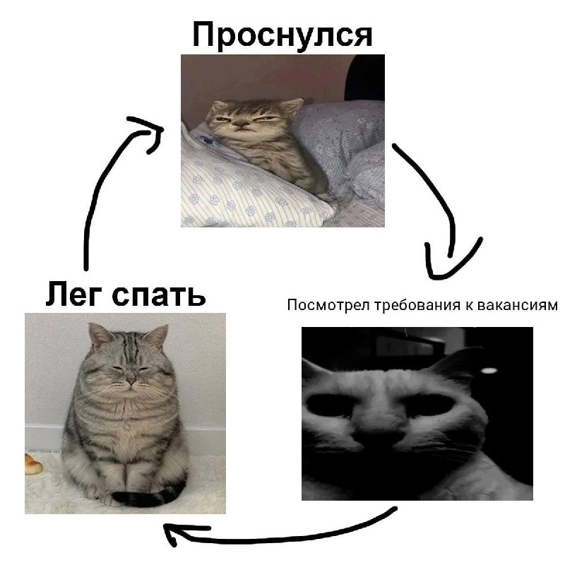 Утренняя подборочка