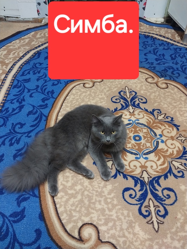 Админ пропусти пожалуйсто.Вот знаете? Что за люди таки?...