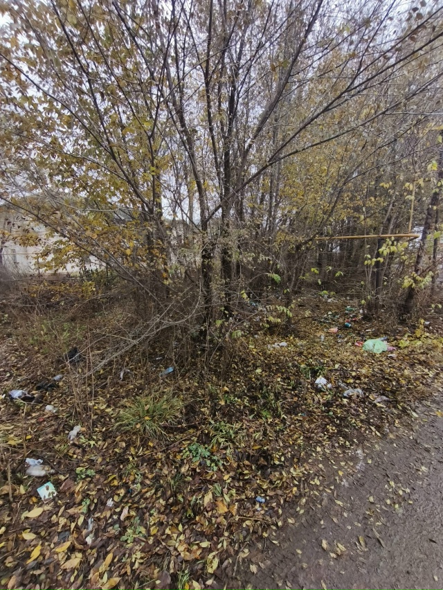 Хотелось бы обратить внимание на территорию в сторону ...