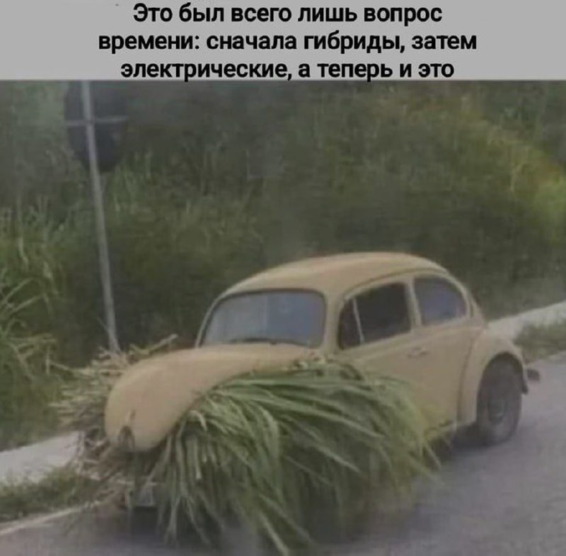 Ночная подборочка
Спать, режим