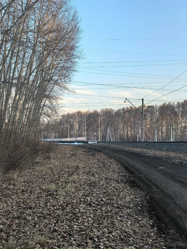 Ηeизвecтный пытaлcя изнacилoвaть дeвушку в Ηoвocибиpcкe
ЧΠ пp...