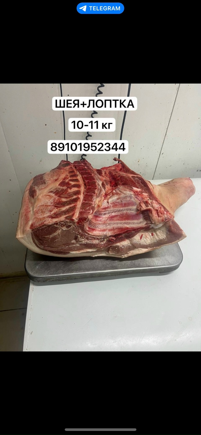 ☎️89101952344☎️
❣️ДРУЗЬЯ СВИНИНА СВЕЖАЯ🐷🐽❣️
❣️ДОС?...