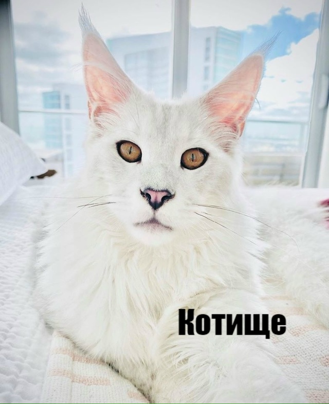 Какие они все-таки разные, но такие любимые?