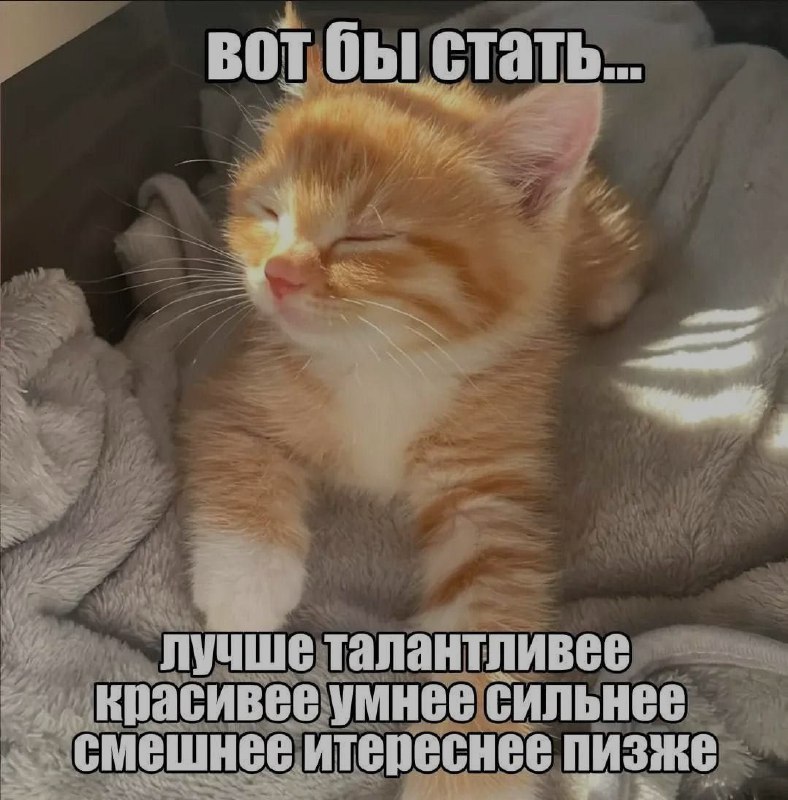 Ночная подборочка
Спать, режим