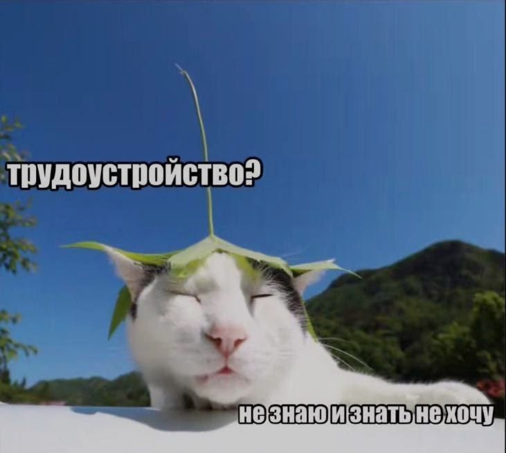 Ночная подборочка
Спать, режим