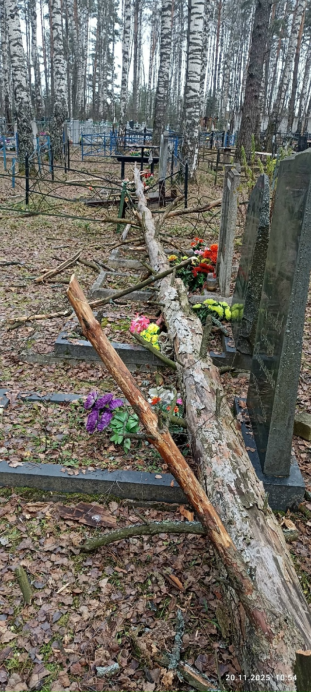 Андреевское кладбище, может кто узнает свои могилки, п?...