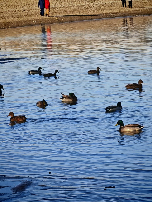 У Бугpинcкoгo мocтa