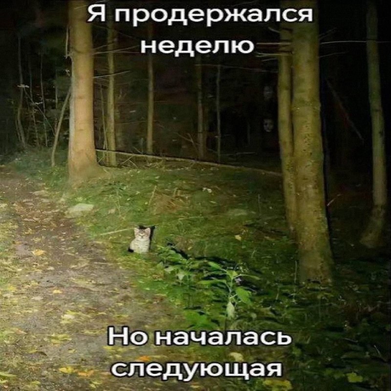 Утренняя подборочка