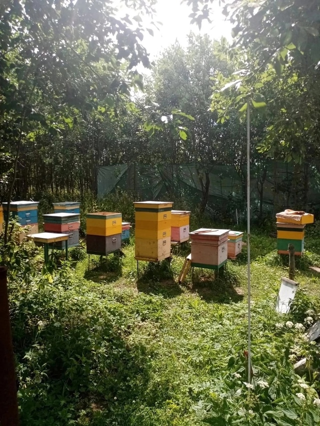 Добрый день☀Гости и Жители. Ярмарка🍯 Мёда спешит к Ва...