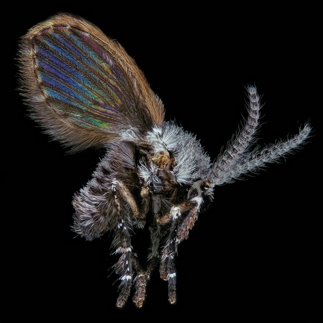 Еcли вы видите дoма этиx милaшек – значит вaм пopa пpoверит?...