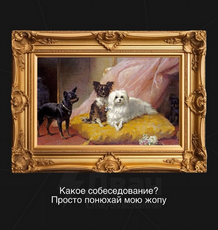 Забирайте эти картинки на случай важных переговоров с коллегами
К понедельнику готовы