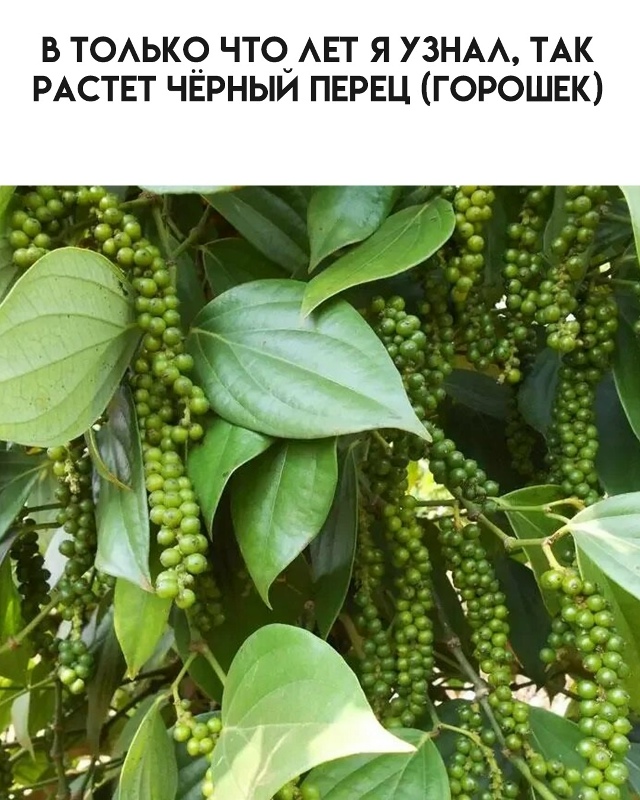 А ведь я не всё знал...