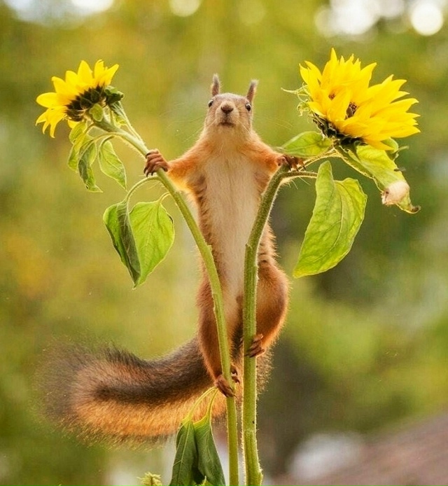 6 лет понадобилось фотографу, чтобы снять такие шикарн?...