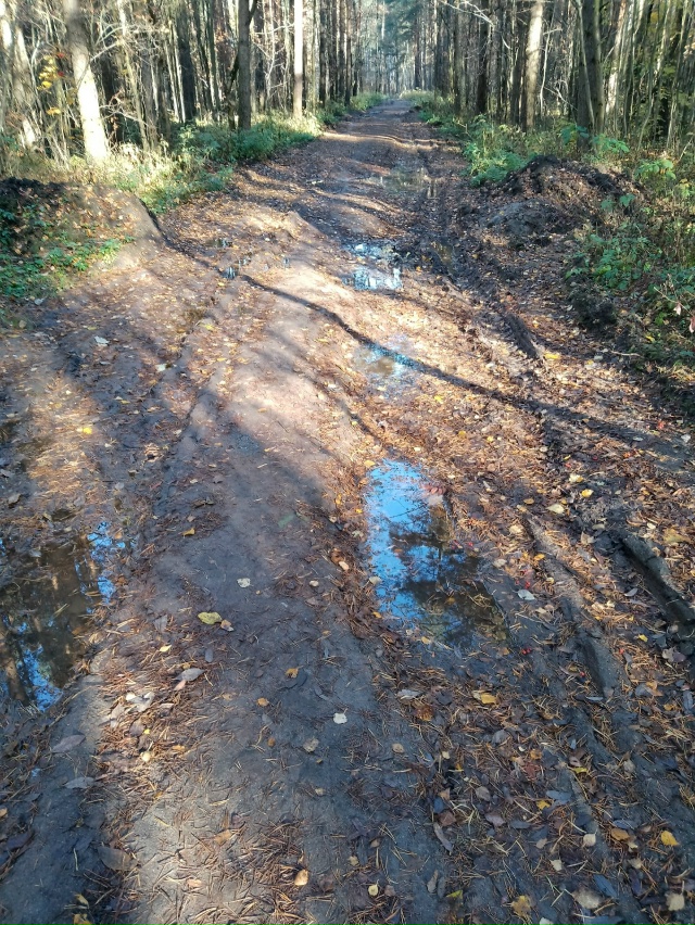 Добрый день, отрадненцы. Возник вопрос к тем, кто в курс...