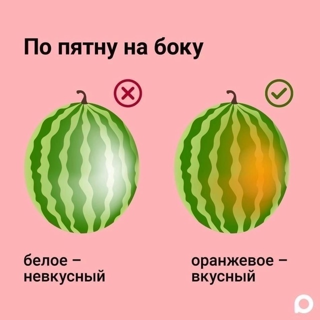 Как правильно выбрать арбуз.😎