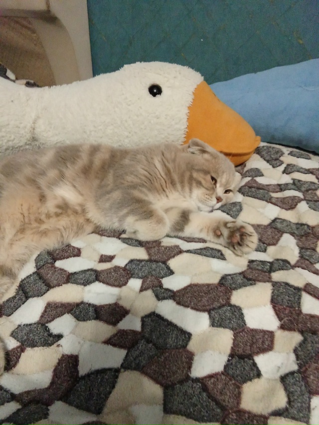 Такие разные, но такие любимые ❤️