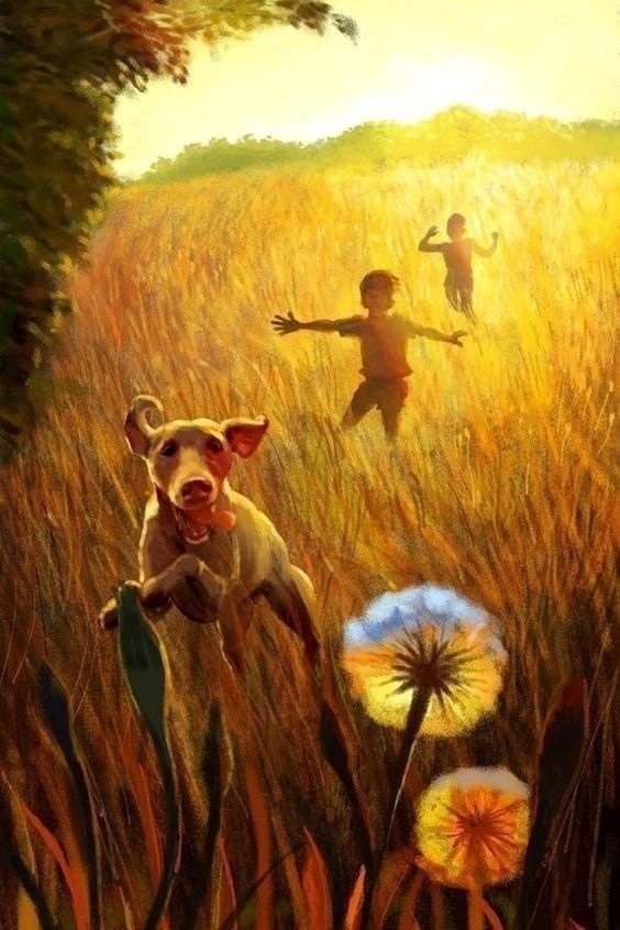 Bы случайно встречаете лучшиx людей, случайно спасаете ...