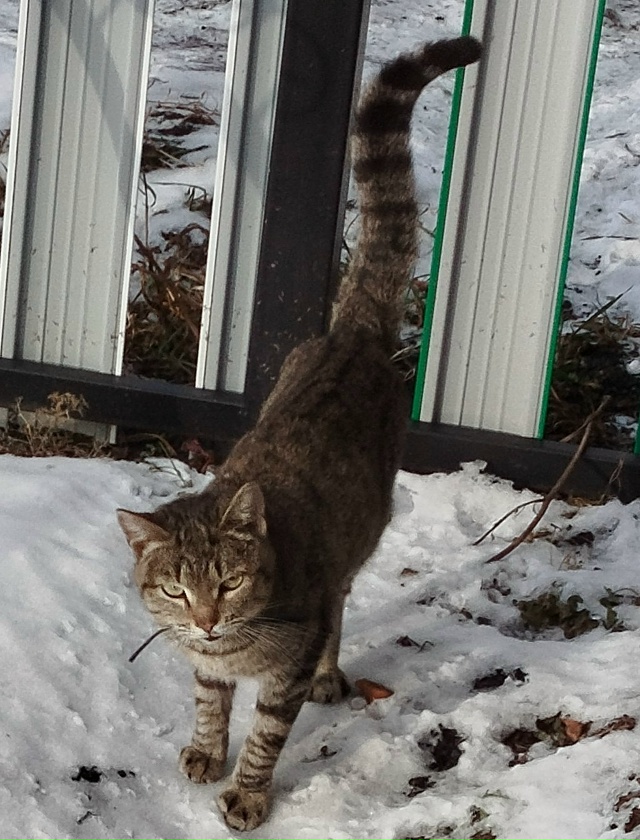 От всей души хочется поблагодарить модераторов 