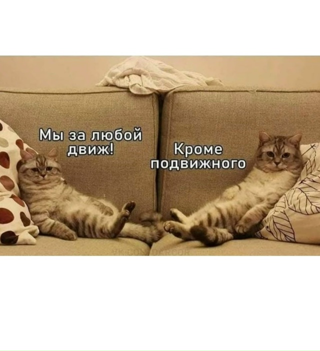 Наши движения только такие
