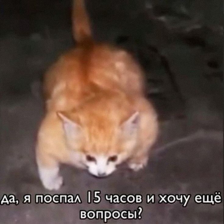 Утренняя подборочка