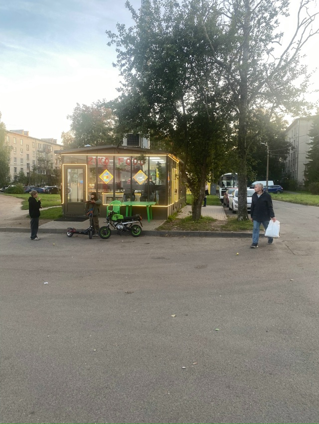 Ребята на своей технике катаются по петергофу пугаю на...