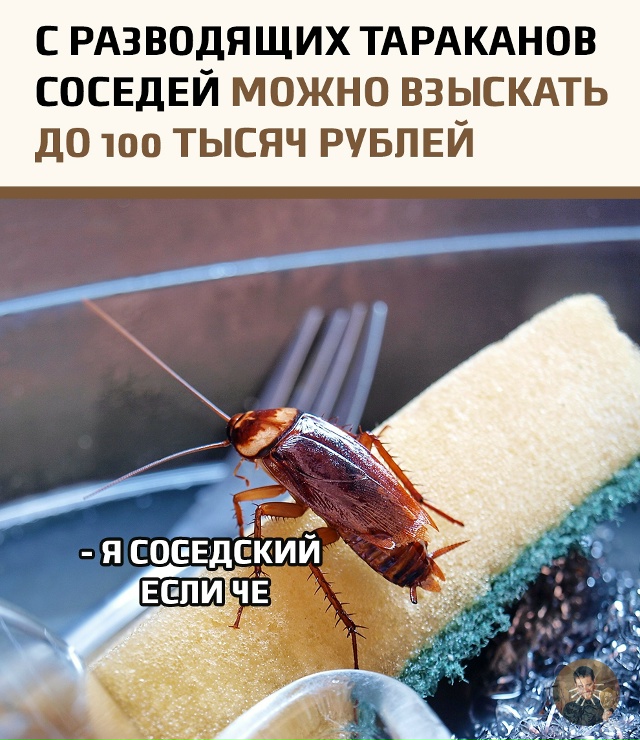 Владельцы квартир, страдающие от нашествия тараканов, ...
