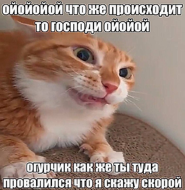 Утренняя подборочка