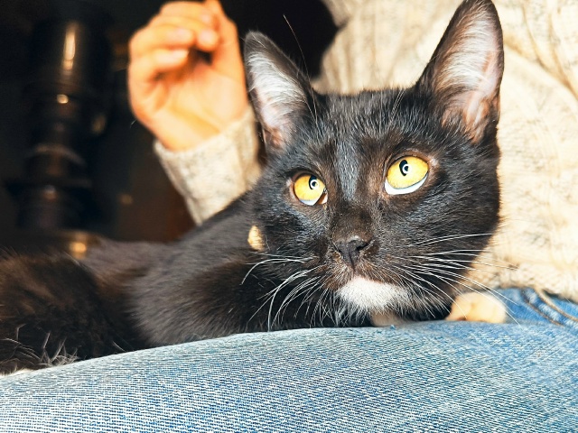 Сестрицы Милашка и Кнопочка, очаровательные девчонки ?...