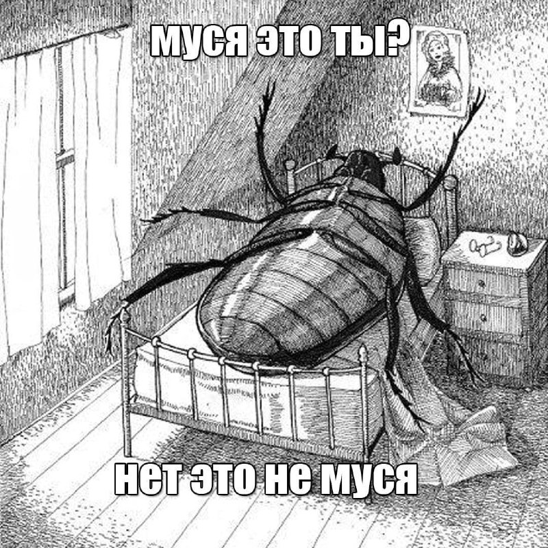 Утренняя подборочка