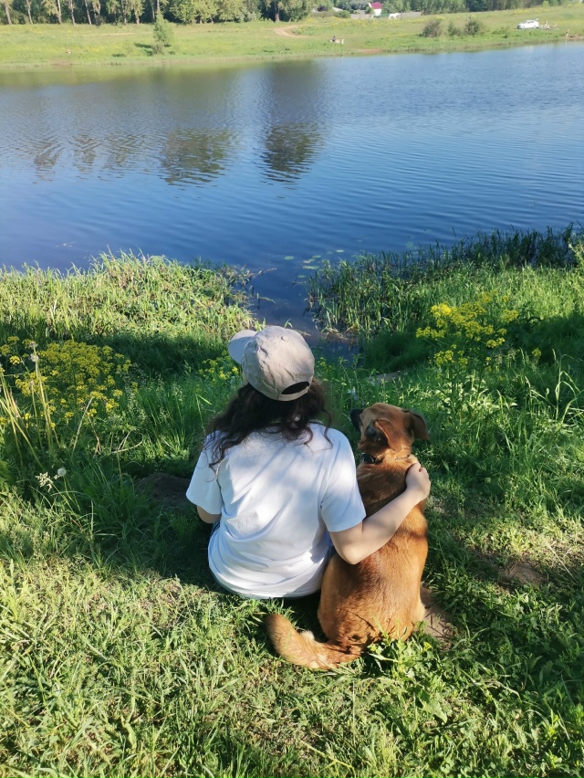 В поиске дома две очаровательные красотки-Дина и Джерр...
