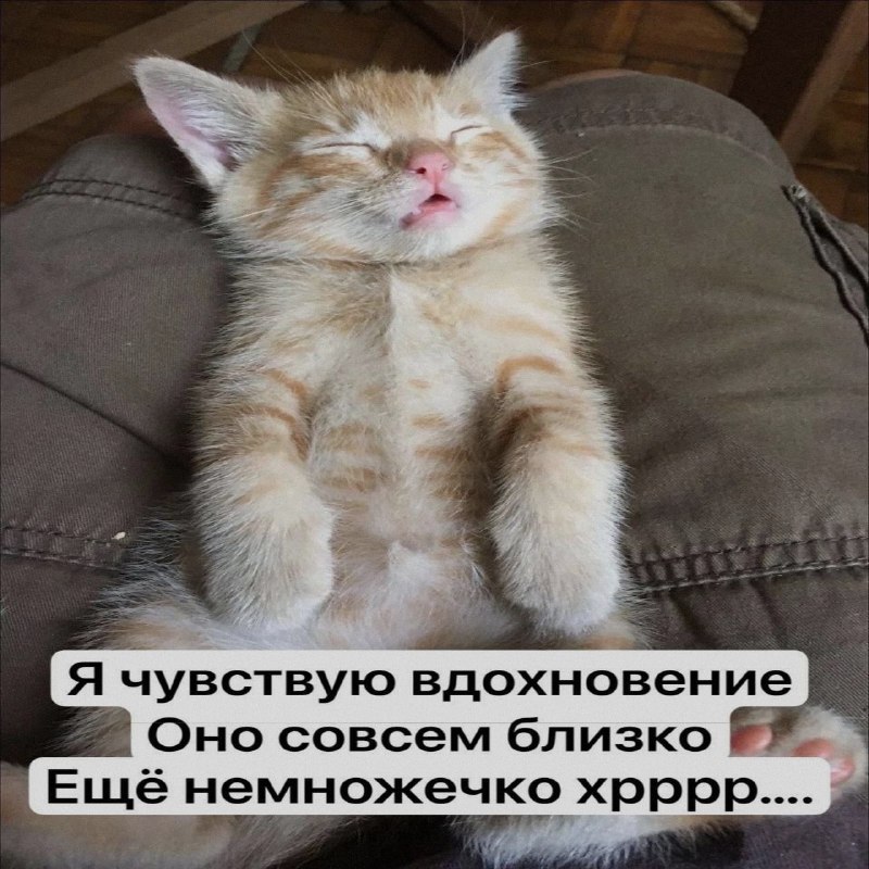 Ночная подборочка
Спать, режим