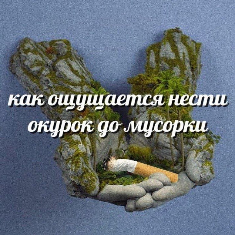 Утренняя подборочка