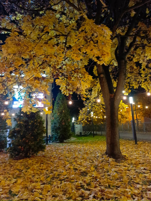 Доброй ночи!
Красивая осень глазами нашей любимой под...