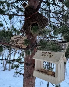 В Мурманской области сохраняются сильные морозы. На за...
