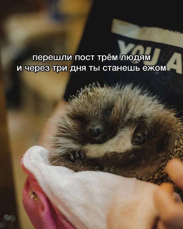 Утренняя подборочка
