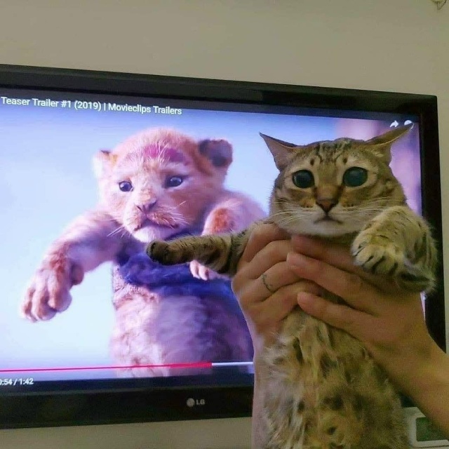 Король Лев...😂