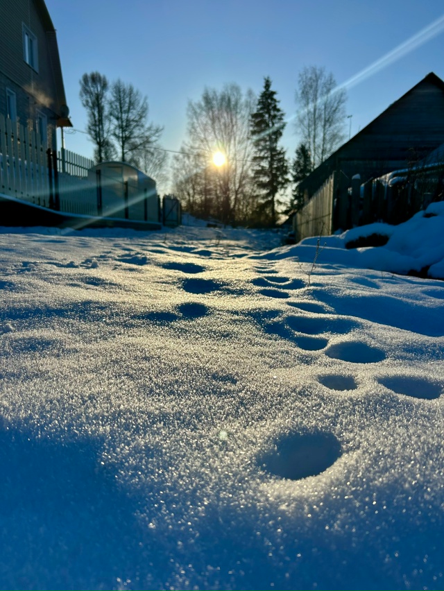 Мороз и солнце- день чудесный!
Берите санки и коньки!
В...
